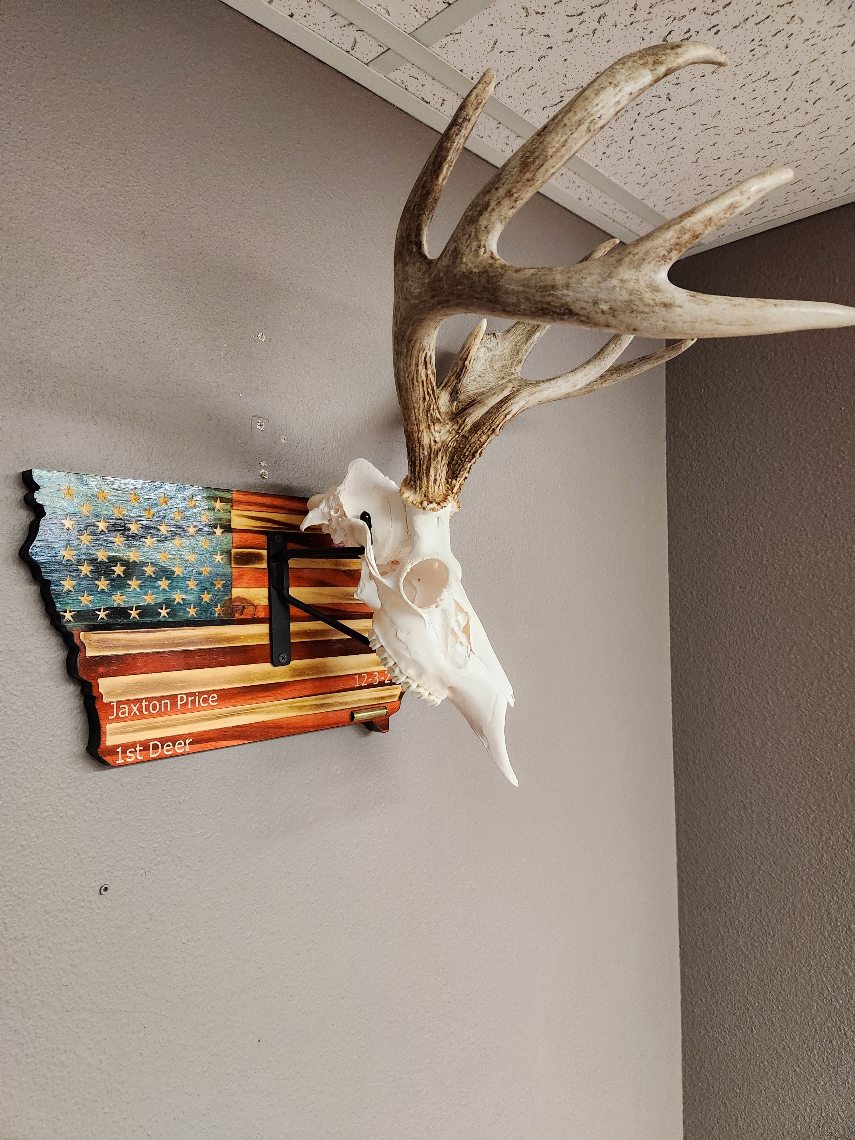 Iowa European Deer Mount Plaque - Personalized - Any State