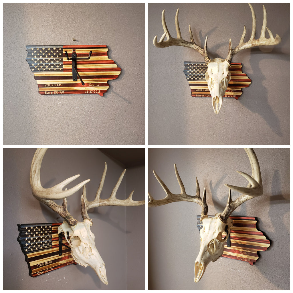 Iowa European Deer Mount Plaque - Personalized - Any State